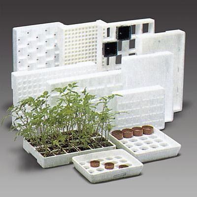 Full Automatic Polystyrene Box Machine